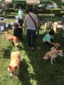 【千葉県佐倉市】佐倉城址公園で「わんこフェスタin佐