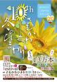 【神奈川県寒川町】10年目の「さむかわ冬のひまわり」