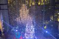 【名古屋】クリスマスイルミネーションショーやプリン