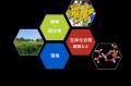 【岡山大学】ナガセヴィータ株式会社との共同研究講座
