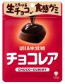 \まるで生チョコ!?/ 口の中でとろける新食感グミ \まるで生チョコ!?/ 口の中でとろける新食感グミ