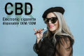 「CBD配合」日本製電子タバコ（使い捨てタイプ・ミニ