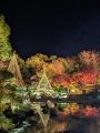 【足立区花畑記念庭園】秋のライトアップ開催