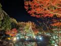 【足立区花畑記念庭園】秋のライトアップ開催
