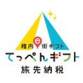 累計219自治体231事業にデジタルで地域の課題を解決す 累計219自治体231事業にデジタルで地域の課題を解決す