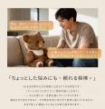 もう“一人じゃない”。会話を覚えて寄り添うAIくま「Ai もう“一人じゃない”。会話を覚えて寄り添うAIくま「Ai