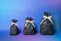 プラネタリウムで特別なクリスマスを 『Gift of Stars プラネタリウムで特別なクリスマスを 『Gift of Stars