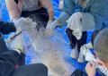 ＜イベントレポート＞下田海中水族館で「廃漁網の回収
