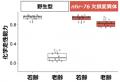 【名古屋大学】遺伝子からの老化指令~線虫の行utf-8 【名古屋大学】遺伝子からの老化指令~線虫の行utf-8
