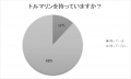 10月の誕生石はトルマリン トルマリンを持っている人 10月の誕生石はトルマリン トルマリンを持っている人
