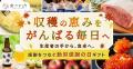 勤労感謝の日を再定義。「ご自愛する日」を企業・団体 勤労感謝の日を再定義。「ご自愛する日」を企業・団体