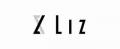 株式会社Lizが提供するオンライン構築支援事業、1年半
