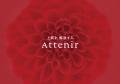 アテニア新タグライン「上質を、解放する。」を制定。