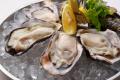 全国の『8TH SEA OYSTER BAR』などで「牡蠣の日WEEK」
