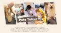 Pets Tokyo、採用サイトを全面リニューアル　社員のイ