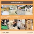 【Pets Tokyo調査】ペットホテルに預けるのは可哀想？