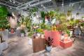 TUIN greenery ルミネ池袋で館内植栽のレンタルを実施