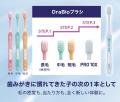 日本の犬用歯ブラシに新しい選択肢。10番目の新モデル