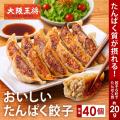 餃子１皿で約20gのたんぱく質！大阪王将公式通販限定
