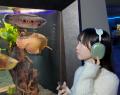 【カワスイ 川崎水族館】この冬は“ひとりでも楽しめる 【カワスイ 川崎水族館】この冬は“ひとりでも楽しめる