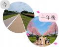 東大和市で「桜の回廊プロジェクト」ー未来へメッセー