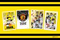 【新商品】阪神タイガースの魅力が詰まった「阪神タイ