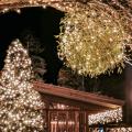 nagano forest villageにて“森が奏でるクリスマス2025