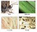 【新製品】毛髪・毛穴・お肌の変化をスマホで確認!毎 【新製品】毛髪・毛穴・お肌の変化をスマホで確認!毎