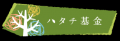 本日より公募開始！「ハタチ基金2026年度助成金」東日