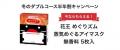 朝日新聞のデジタル版「冬の半年割キャンペーン」がス 朝日新聞のデジタル版「冬の半年割キャンペーン」がス