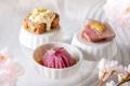 桜咲くアフタヌーンティー風寿司ランチ「花蓮(かれん 桜咲くアフタヌーンティー風寿司ランチ「花蓮(かれん