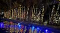 小谷流の里 ドギーズアイランドが贈る~竹灯りとBOTTE 小谷流の里 ドギーズアイランドが贈る~竹灯りとBOTTE