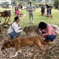イヌやネコの動物福祉向上に取り組む9団体を新たutf-8