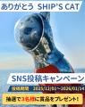 瀬戸芸2025作品『SHIP’S CAT (Boarding)』の船上展示