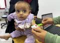 ガザ地区の子ども　5歳未満の9,300人が急性栄養不良　