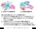 さらに上手に“忘れる”AIへ ― 学習済みの知識をドメイ