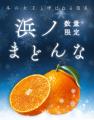 【数量限定×特別価格】愛媛の“冬の女王”をサステナブ