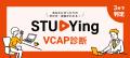 月間500リード獲得実績のV-CAP診断が業界別テンプレー