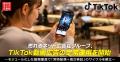 売れるネット広告社グループ、TikTok動画広告の定常運 売れるネット広告社グループ、TikTok動画広告の定常運