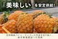 「ふるなび」で、沖縄県石垣市が石垣島産パイナップル