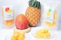 「ふるなび」で、沖縄県石垣市が石垣島産パイナップル