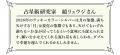 初コラボ・占星術研究家・鏡リュウジさん監修の「流れ