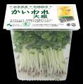 12月8日は有機農業の日! 日本初の有機栽培もやし、 12月8日は有機農業の日! 日本初の有機栽培もやし、
