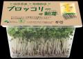 12月8日は有機農業の日! 日本初の有機栽培もやし、 12月8日は有機農業の日! 日本初の有機栽培もやし、
