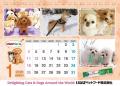 いなばペットフード「2026年卓上・壁掛けカレンダー写