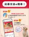 いなばペットフード　ペットメディア「PECO」とのInst