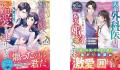 オトナ女子向け恋愛小説「ベリーズ文庫」「ベリーズ文