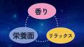 日本初、“宇宙ハーブティー”誕生へ──地球から宇宙へ広 日本初、“宇宙ハーブティー”誕生へ──地球から宇宙へ広