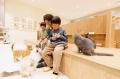 仔猫たちと過ごす“あたたかな冬”。12月23日『Cat Cafe