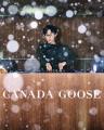 カナダグース、ソウルで没入型ショーケース開催。ヘリ カナダグース、ソウルで没入型ショーケース開催。ヘリ